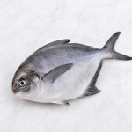 黑倉