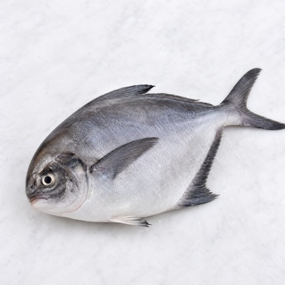 黑倉