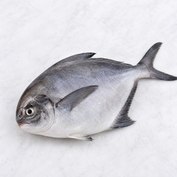 黑倉