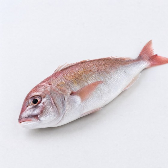青池