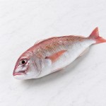 沙硯