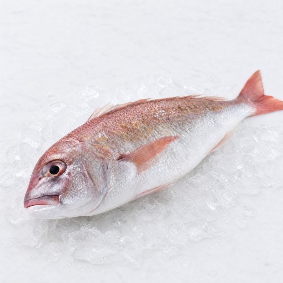 三刀魚