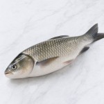 鯇魚
